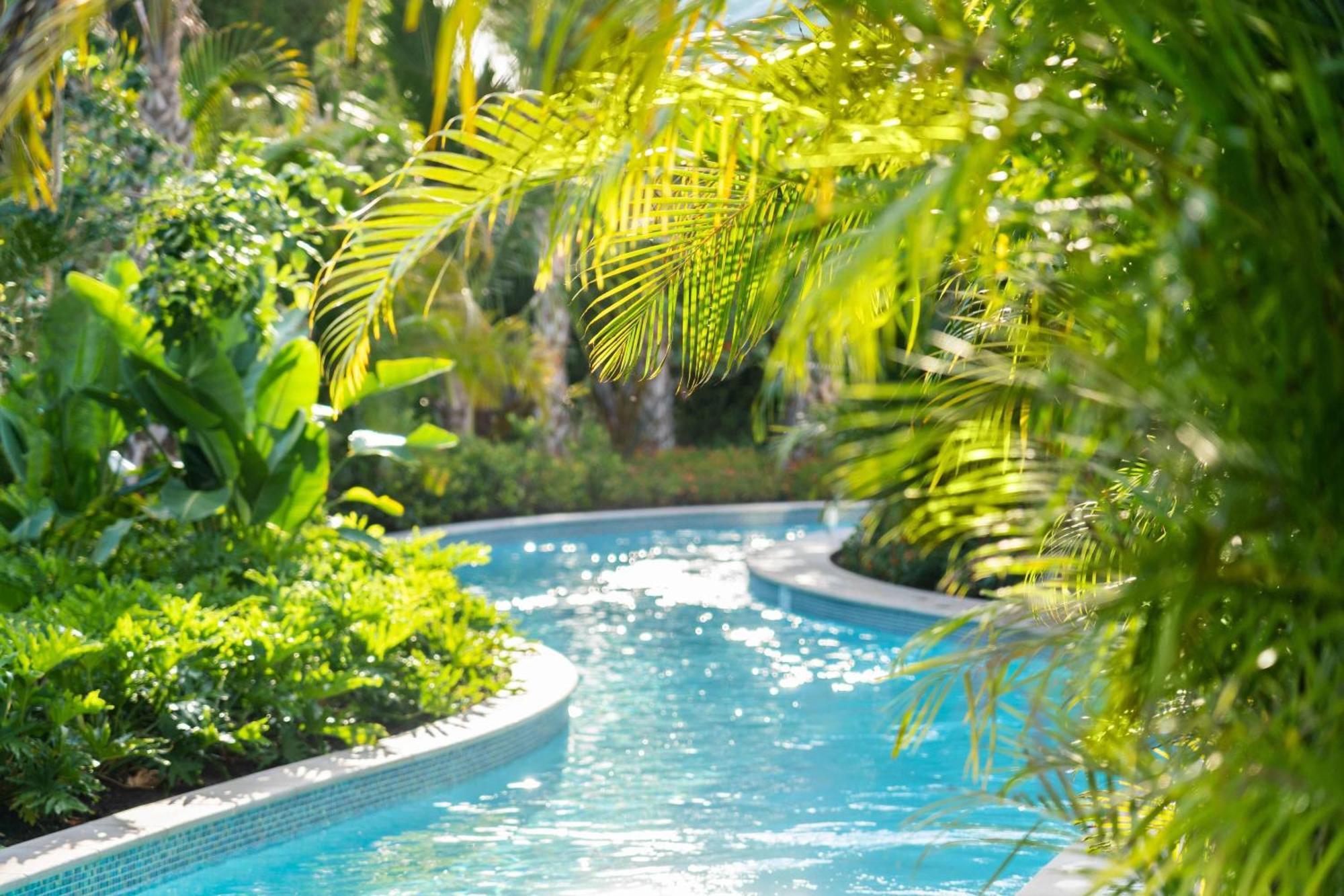 منتجع ريتز كارلتون للجولف، نابلز Naples Park المظهر الخارجي الصورة
